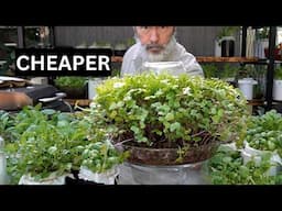 Cheaper Grow Medium and Loads of Microgreens