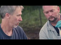Feral Swine in America Episode 8: Genetics