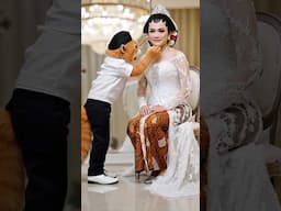 Kucing tukang rias pengantin jawa #cat #catlover #shorts #viralvideo #videoshorts #trending