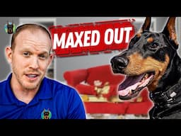 Dobermans Act Like Toddlers With a Credit Card!