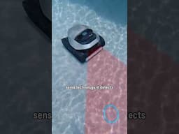 Testing “Smart” Robot Pool Cleaner ACTUALLY Good?  #Dreame#DreameZ1Pro #DreameZ1#RoboticPoolCleaner
