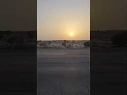 Beautiful Desert Life
