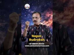 Nepal vs Indonesian Rudraksha | How to Choose the Right Rudraksha 🔥#fact #ytshorts