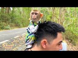 Dad took Monkey Kaka for a walk in the forest. It was so much fun.
