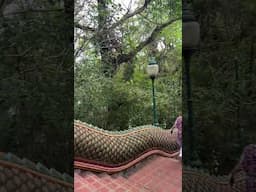 Hello from Doi Suthep Thailand