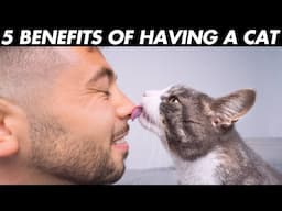12 Surprising Benefits of Owning a Cat!