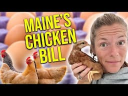 Maine's "chicken bill" regulates backyard flocks || Sam Bessey