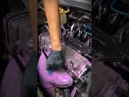 THIS CAR WAS ABANDONED FOR YEARS ON A AUCTION! 🚗 #detailing #car
