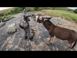 Fly Fishing for Yellowfish - Klipplaat River Eastern Cape South Africa