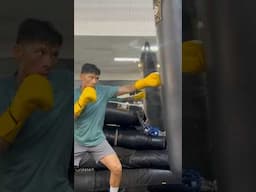 Phenom SG300S Training Gloves Bag Work