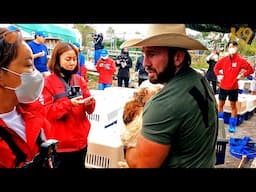 K9 Global Rescue Risks Everything To Save 5 Thousand Dogs From A Korean Dog Meat Farm!