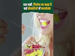 Pimples & Boils Treatment। Fever Treatment। Giloy Benefits। Acharya Manish ji। HIIMS