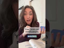Why You Can’t Stop Checking Your Phone (The science)