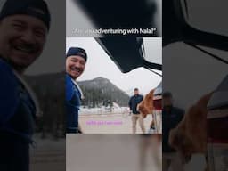 Nala Stomps with strangers when spotted in public 😂