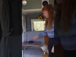 VAN TOUR!
