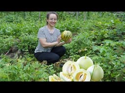 Instead of stones on the steps, melons and beans are great homemade products.