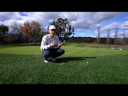 Winter Lawn Tips // Answering Your Questions