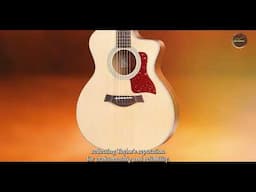 Discover the Taylor 214ce Grand Auditorium Acoustic Electric Guitar Stunning Sound and Versatility