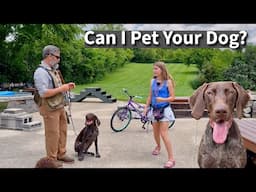 Should You Let Strangers Pet Your Dog? A Trainer & His Daughter Answer