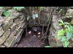 Unveiling Cozumel's Secret: Stunning Caves Discovered – The Ultimate 'Spa Day' Adventure!