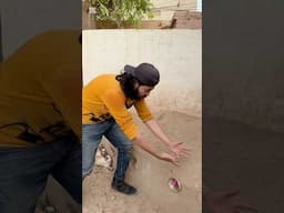 Commando Dragon Hole saved the life of a colorful chick #minivlog #zoo #pets #animals #shorts