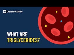 What Are Triglycerides?