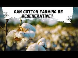 Can Cotton Be Regenerative? Exploring the New Frontier in Farming