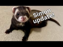 Update on Simon!