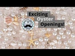 Exciting Oyster Openings! (Reveals 17982 - 17999)