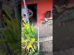 warung ketan jembatan lama kediri #funny #kuliner #makanan #makan #kediri