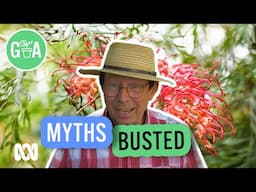 Native Plant Myths Busted | Australian native plants | Gardening Australia