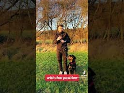 My Best And Fastest Way To Get Dogs To Walk Perfectly On or Off the Lead! #dogtraining #dogtrainer