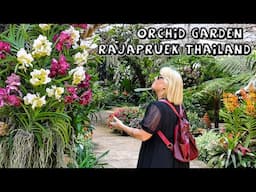 Orchid Garden Rajapruek Thailand