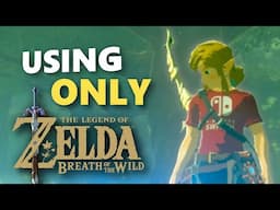 Using ONLY Breath of the Wild Gear to BEAT Breath of the Wild