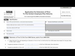 IRS Form 5558 walkthrough (Application for Extension of TimeTo File Certain Employee Plan Returns)