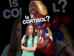 Weight changes, decreased energy, it could be cortisol