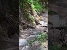 Ye Kasol nahi - Soil Village hai | Soyal village Manali | travel with @Midlifeholidays