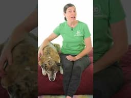 Join Me April 28 @ 10am Eastern for Back Pain Stretches LIVE!