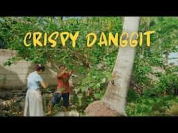Filipino Food Cooking Danggit Dried Fish | Koreans Buhay Probinsya Cooking Filipino Breakfast Recipe