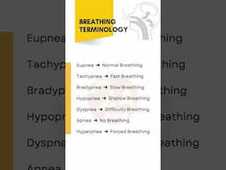 Breathing Terminology Explained | Understand Medical Report Terms Easily! #medicalreport