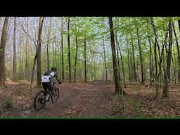 30 minute MTB Trail Workout Video for stationary bike Indoor Cycling Ultra HD