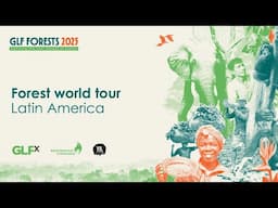 Forest world tour: Latin America