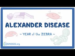 Alexander disease (Year of the Zebra 2025)