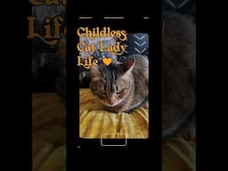 Life as Childless Cat Lady is Wonderful 😽