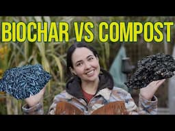 Biochar vs Compost: Which One is Right for Your Garden?