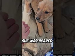 She Had No One… Until We Found Her! 🥺🤩