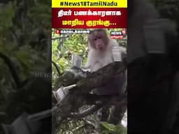 திடீர் பணக்காரனாக மாறிய குரங்கு... | Monkey | N18S