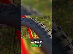 Fat Bike Wheels & Tires: Are They Durable Enough? Let's Find Out!
