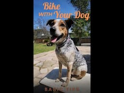 Getting Started Riding a Bike with Your Dog #shorts