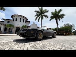 1980 Pontiac Firebird Trans Am Y84 special edition Bandit unrestored for sale